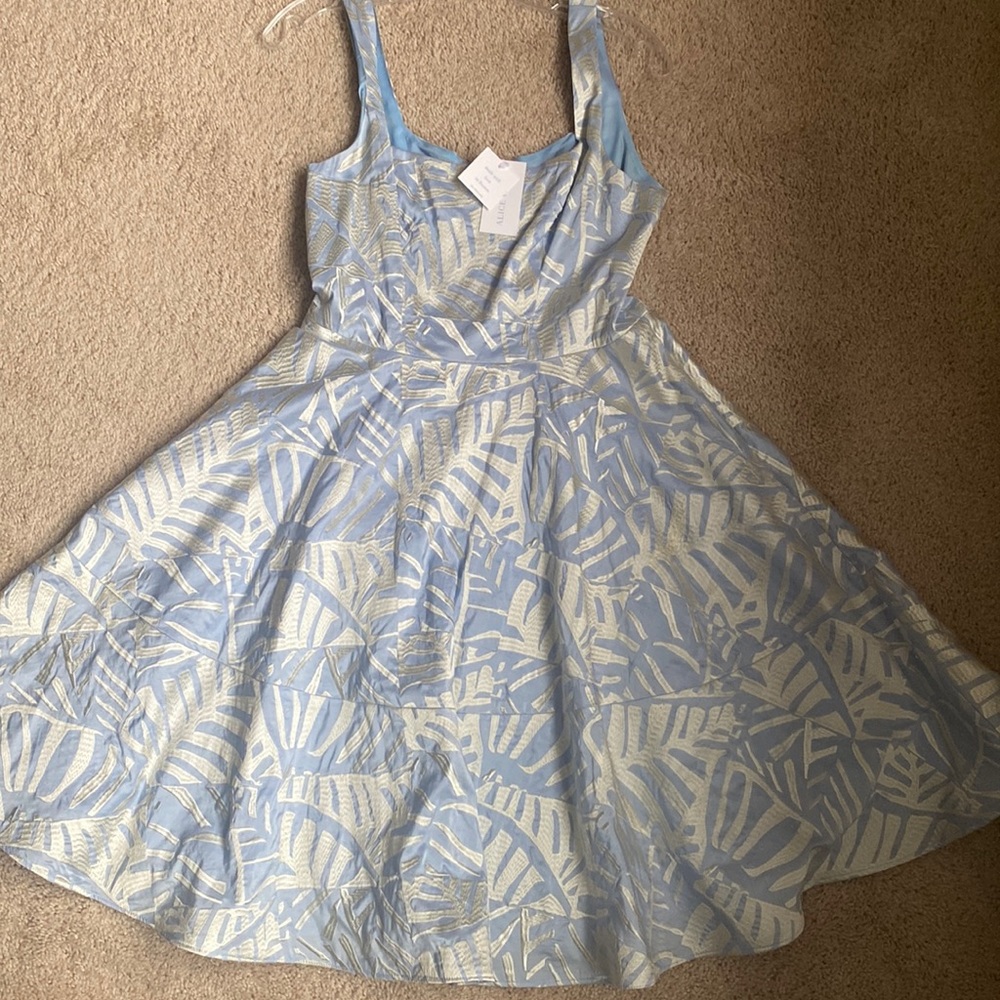 NWOT Alice Walk Dress Size 8